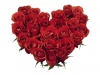 Red Roses Heart-839609